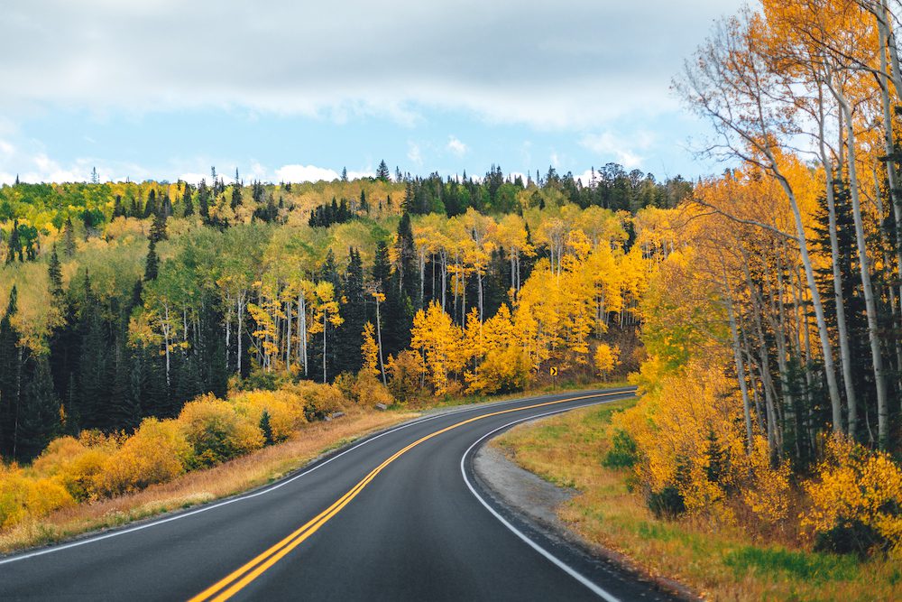 Whether you're a nature enthusiast or a sports fan, Colorado has something for everyone. Here are 10 enjoyable activities to make the most of fall in Colorado.